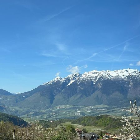 Ciasa Erica - Val Di Non Leilighet Predaia Eksteriør bilde